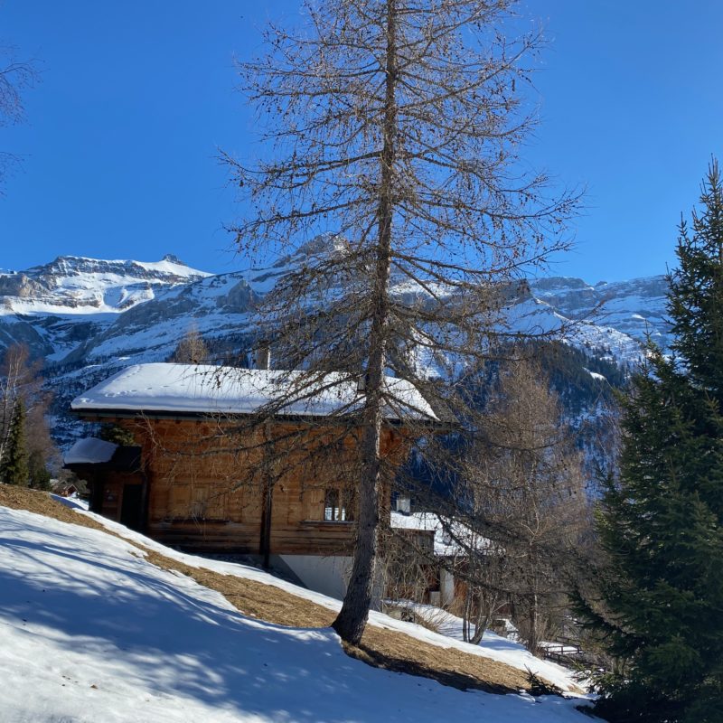 CONDOMINIUM SASSET BBEAUTIFUL APPARTMENT  WITH GARAGE  MAGNIFICENT  VIEW OF THE MASSIF DIABLERETS 