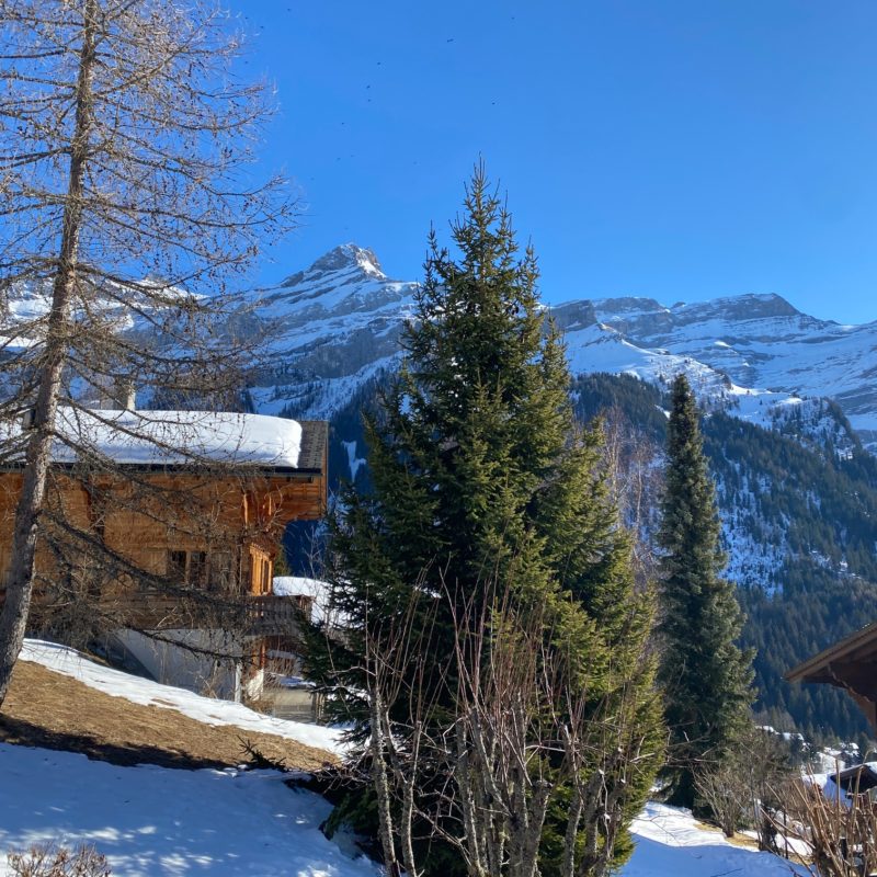 CONDOMINIUM SASSET BBEAUTIFUL APPARTMENT  WITH GARAGE  MAGNIFICENT  VIEW OF THE MASSIF DIABLERETS 