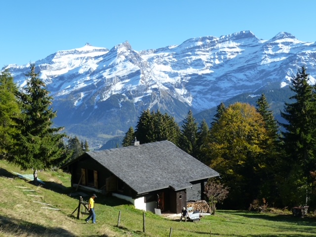 “PROPRIETE LES TEYS”POUR AMOUREUX DE LA NATURE TRES TRANQUILLE ET CALME MAGNIFIQUE VUE SUR TOUT LE MASSIF DES DIABLERETS 