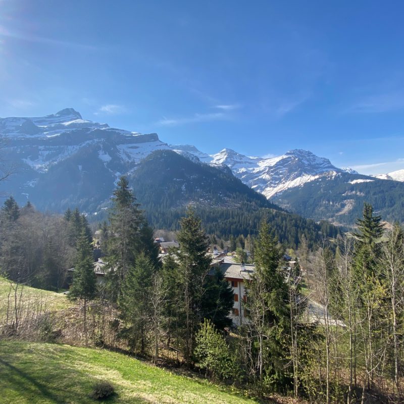 CONDOMINIUM LE PREVOLETBEAUTIFUL APARTMENT  TWO PRIVATE  OUTDOOR SPACES MAGNIFICENT  VIEW OF THE MASSIF DIABLERETS 