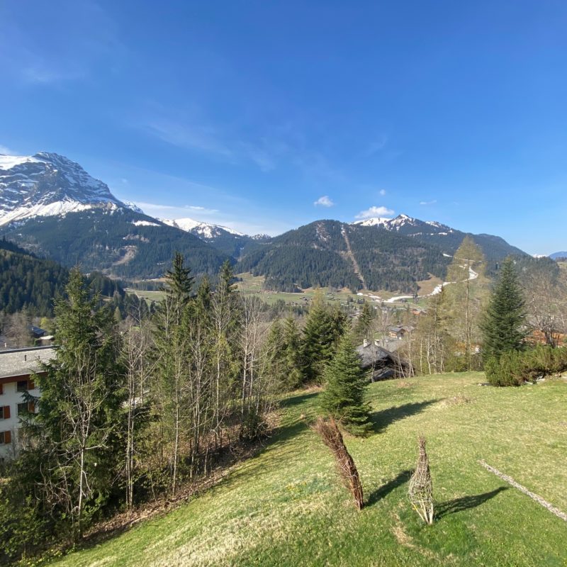 PPE PREVOLETJOLI APPARTEMENT MEUBLE FACILE D'ACCES ET TRES TRANQUILLE MAGNIFIQUE VUE SUR LE MASSIF DES DIABLERETS