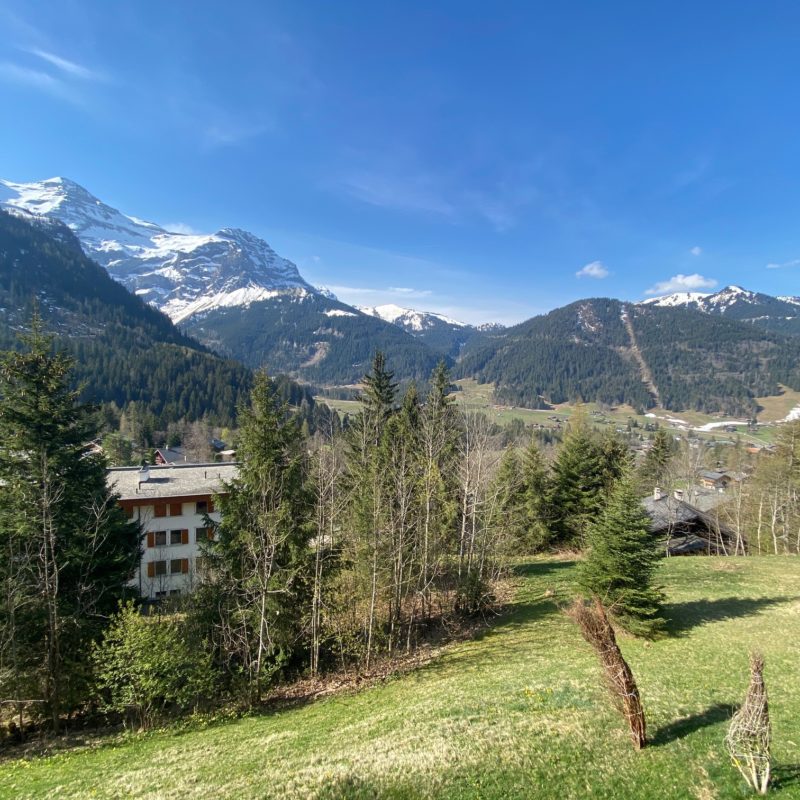 CONDOMINIUM LE PREVOLETBEAUTIFUL APARTMENT  TWO PRIVATE  OUTDOOR SPACES MAGNIFICENT  VIEW OF THE MASSIF DIABLERETS 