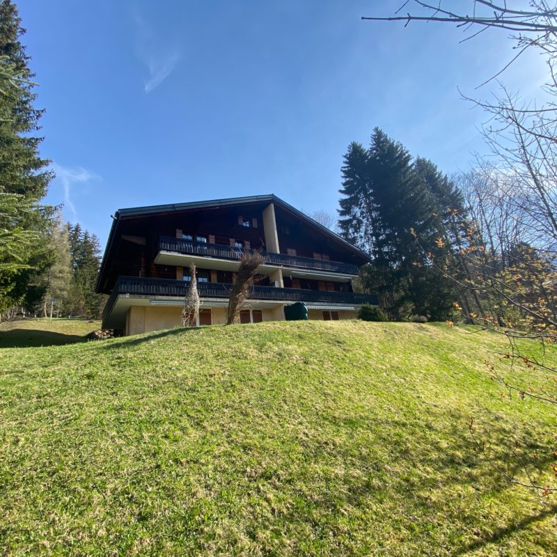 PPE PREVOLETJOLI APPARTEMENT MEUBLE FACILE D'ACCES ET TRES TRANQUILLE MAGNIFIQUE VUE SUR LE MASSIF DES DIABLERETS