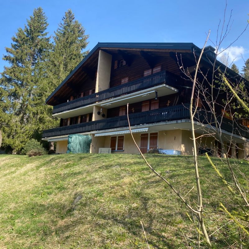 PPE PREVOLETJOLI APPARTEMENT MEUBLE FACILE D'ACCES ET TRES TRANQUILLE MAGNIFIQUE VUE SUR LE MASSIF DES DIABLERETS