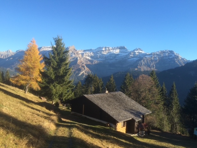 “PROPRIETE LES TEYS”POUR AMOUREUX DE LA NATURE TRES TRANQUILLE ET CALME MAGNIFIQUE VUE SUR TOUT LE MASSIF DES DIABLERETS 
