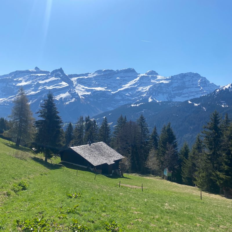 “PROPRIETE LES TEYS”POUR AMOUREUX DE LA NATURE TRES TRANQUILLE ET CALME MAGNIFIQUE VUE SUR TOUT LE MASSIF DES DIABLERETS 
