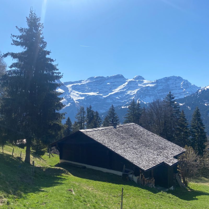 “PROPRIETE LES TEYS”POUR AMOUREUX DE LA NATURE TRES TRANQUILLE ET CALME MAGNIFIQUE VUE SUR TOUT LE MASSIF DES DIABLERETS 