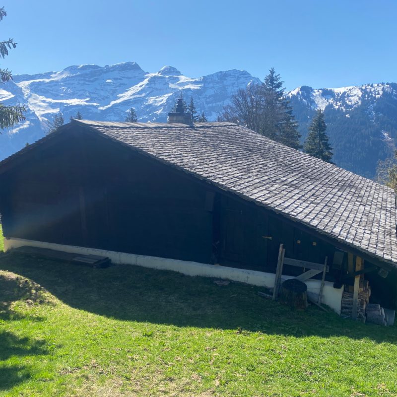 “PROPRIETE LES TEYS”POUR AMOUREUX DE LA NATURE TRES TRANQUILLE ET CALME MAGNIFIQUE VUE SUR TOUT LE MASSIF DES DIABLERETS 