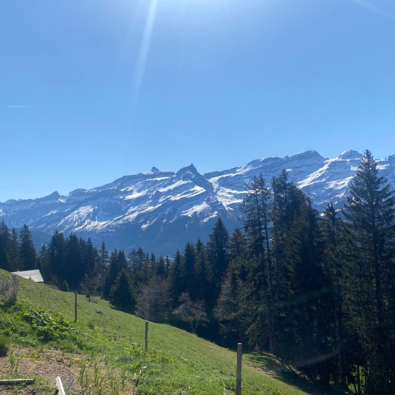 “PROPRIETE LES TEYS”POUR AMOUREUX DE LA NATURE TRES TRANQUILLE ET CALME MAGNIFIQUE VUE SUR TOUT LE MASSIF DES DIABLERETS 