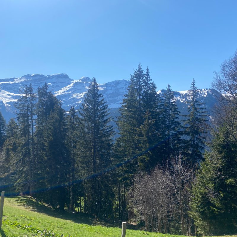 “PROPRIETE LES TEYS”POUR AMOUREUX DE LA NATURE TRES TRANQUILLE ET CALME MAGNIFIQUE VUE SUR TOUT LE MASSIF DES DIABLERETS 