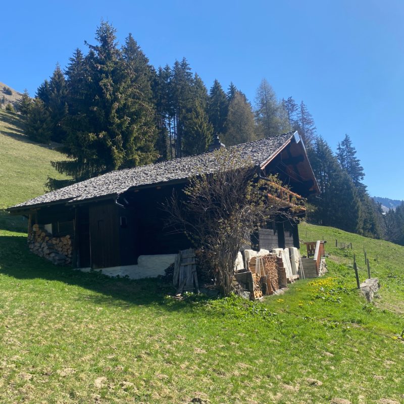 “PROPRIETE LES TEYS”POUR AMOUREUX DE LA NATURE TRES TRANQUILLE ET CALME MAGNIFIQUE VUE SUR TOUT LE MASSIF DES DIABLERETS 