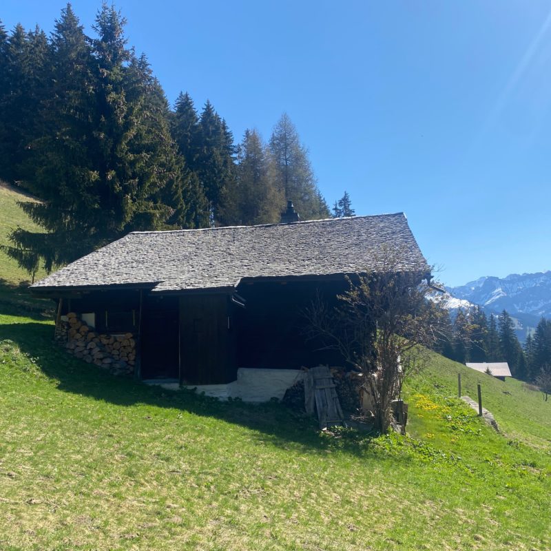 “PROPRIETE LES TEYS”POUR AMOUREUX DE LA NATURE TRES TRANQUILLE ET CALME MAGNIFIQUE VUE SUR TOUT LE MASSIF DES DIABLERETS 