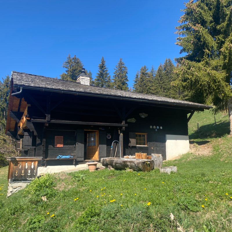 “PROPRIETE LES TEYS”POUR AMOUREUX DE LA NATURE TRES TRANQUILLE ET CALME MAGNIFIQUE VUE SUR TOUT LE MASSIF DES DIABLERETS 