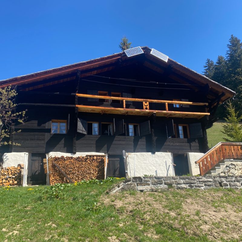 “PROPRIETE LES TEYS”POUR AMOUREUX DE LA NATURE TRES TRANQUILLE ET CALME MAGNIFIQUE VUE SUR TOUT LE MASSIF DES DIABLERETS 