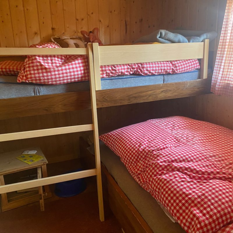 “PROPRIETE LES TEYS”POUR AMOUREUX DE LA NATURE TRES TRANQUILLE ET CALME MAGNIFIQUE VUE SUR TOUT LE MASSIF DES DIABLERETS 