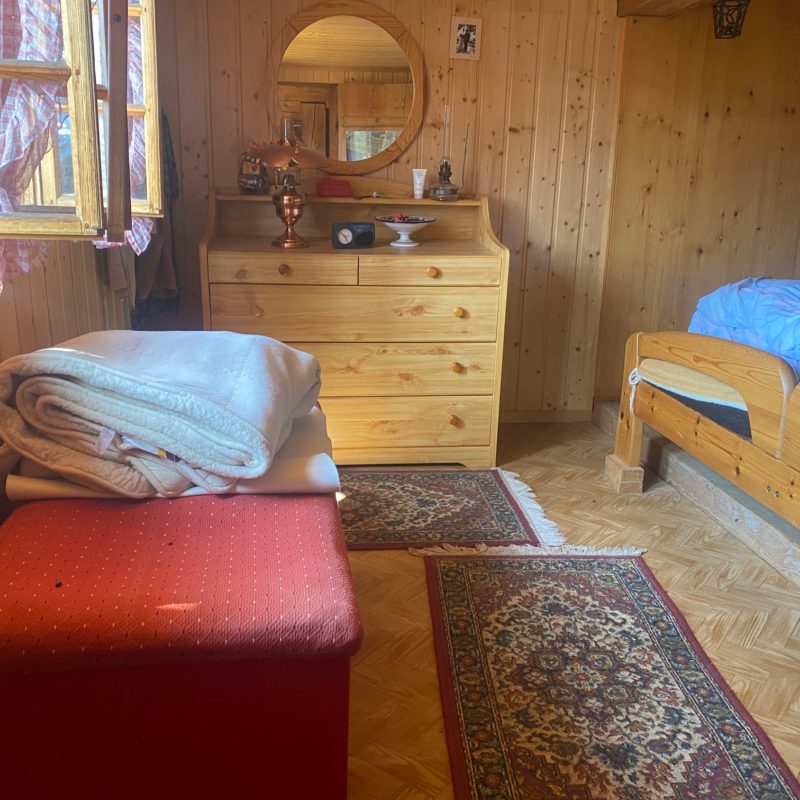 “PROPRIETE LES TEYS”POUR AMOUREUX DE LA NATURE TRES TRANQUILLE ET CALME MAGNIFIQUE VUE SUR TOUT LE MASSIF DES DIABLERETS 