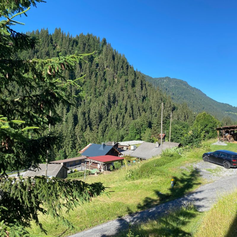 LES CHANTERRELLESBeautiful old cottage de 1833 A stone's throw from the village Magnificent  view of the Diablerets massif