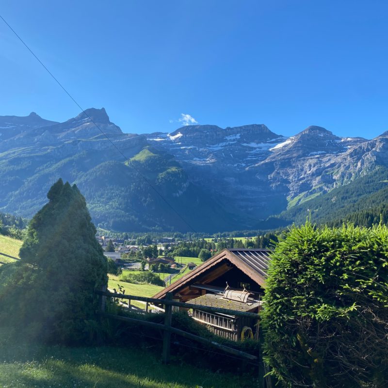 LES CHANTERRELLESBeautiful old cottage de 1833 A stone's throw from the village Magnificent  view of the Diablerets massif