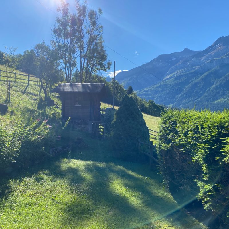 LES CHANTERRELLESBeautiful old cottage de 1833 A stone's throw from the village Magnificent  view of the Diablerets massif