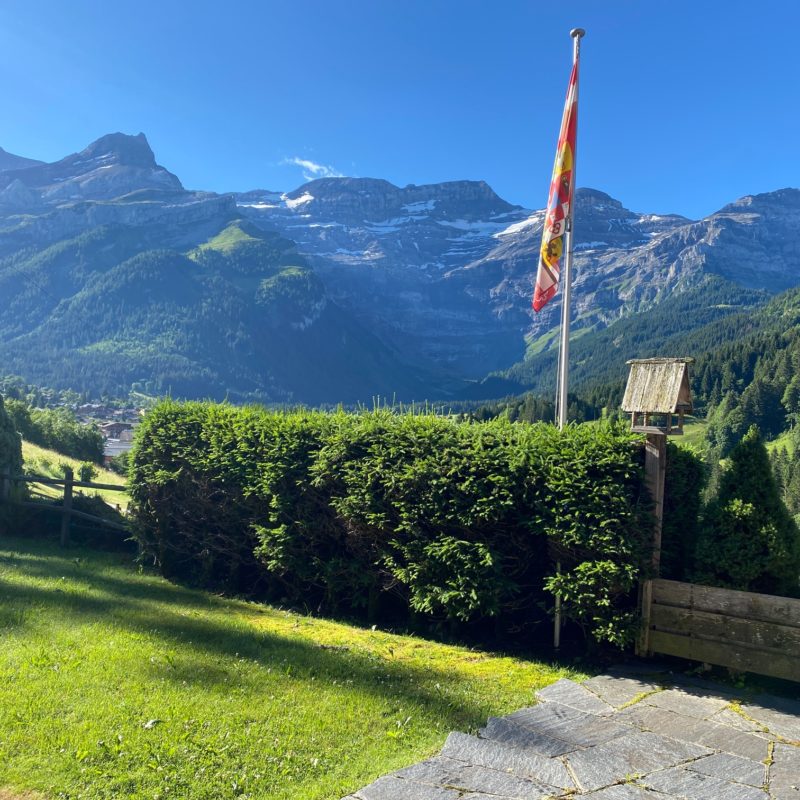 LES CHANTERRELLESBeautiful old cottage de 1833 A stone's throw from the village Magnificent  view of the Diablerets massif