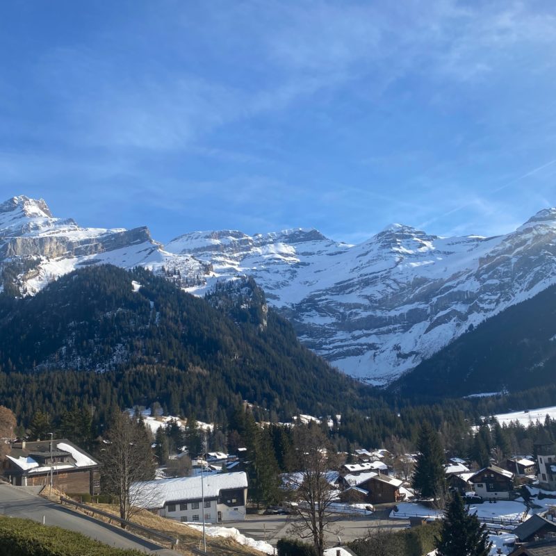 CONDOMINIUM  PPE BEL-AIRBEAUTIFUL APARTMENT WITH GARAGE MAGNIFICIENT VIEW ON THE VILLAGE AND THE MASSIF DIABLERETS
