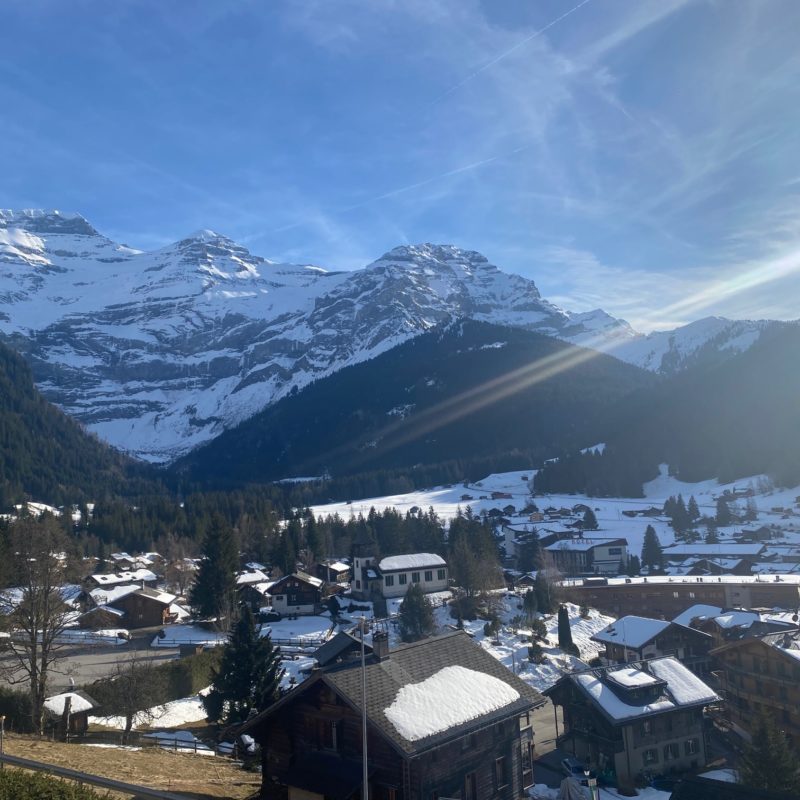 CONDOMINIUM  PPE BEL-AIRBEAUTIFUL APARTMENT WITH GARAGE MAGNIFICIENT VIEW ON THE VILLAGE AND THE MASSIF DIABLERETS