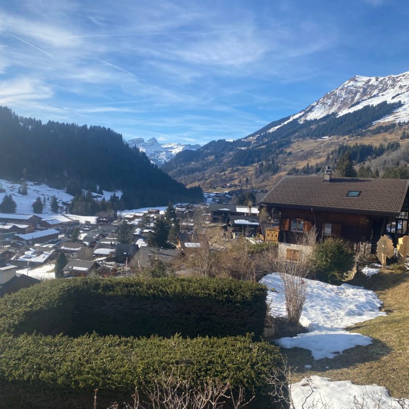 CONDOMINIUM  PPE BEL-AIRBEAUTIFUL APARTMENT WITH GARAGE MAGNIFICIENT VIEW ON THE VILLAGE AND THE MASSIF DIABLERETS