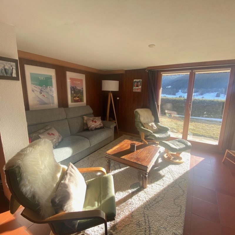 CONDOMINIUM  PPE BEL-AIRBEAUTIFUL APARTMENT WITH GARAGE MAGNIFICIENT VIEW ON THE VILLAGE AND THE MASSIF DIABLERETS