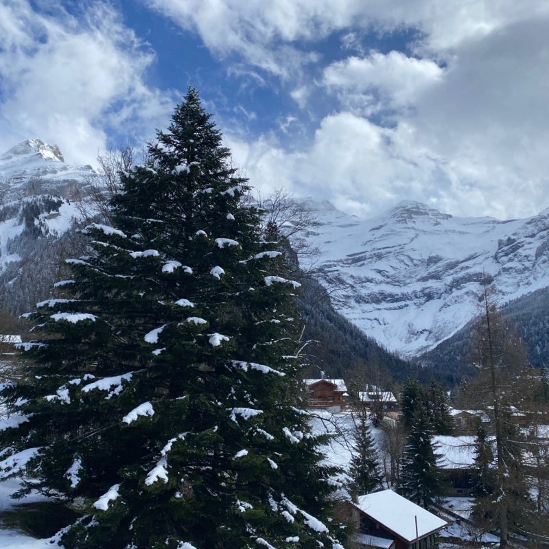 PPE ROCHER AMAGNIFIQUE APPARTEMENT AU VILLAGE A DEUX PAS DES COMMERCES AVEC  VUE SUR LE MASSIF DES  DIABLERETS