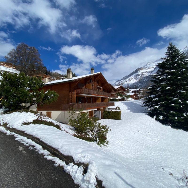 CONDOMINIUM  PPE ROCHER ABEAUTIFUL APARTMENT MAGNIFICIENT VIEW ON THE VILLAGE AND THE MASSIF DIABLERETS WITH PARKING PLACE 