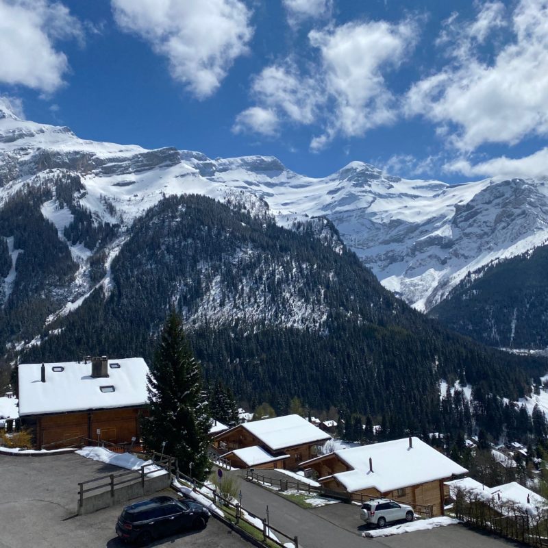 CONDOMINIUM PRE-RIAUX ABEAUTIFUL APARTMENT With Garage MAGNIFICIENT VIEW ON THE VILLAGE AND THE MASSIF DIABLERETS