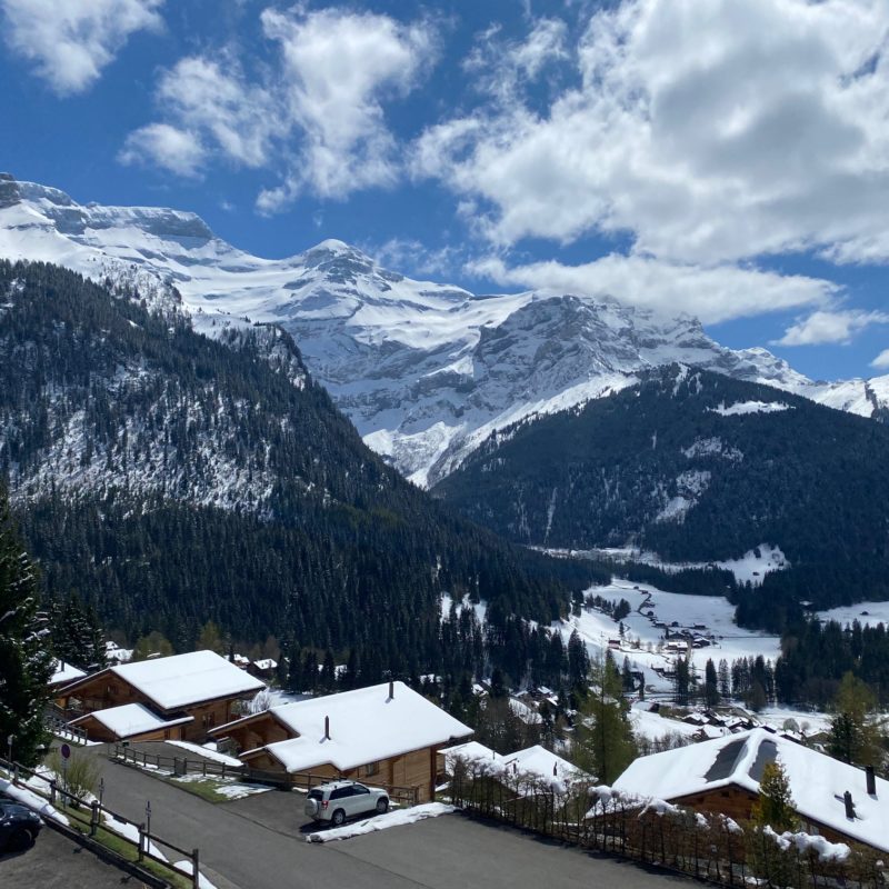 CONDOMINIUM PRE-RIAUX ABEAUTIFUL APARTMENT With Garage MAGNIFICIENT VIEW ON THE VILLAGE AND THE MASSIF DIABLERETS