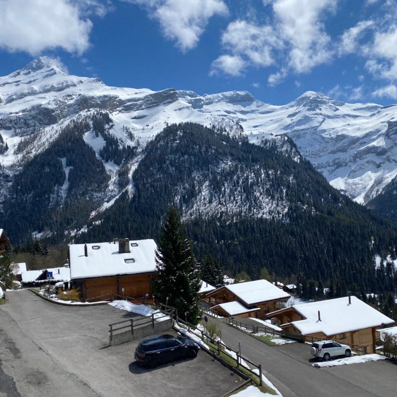 CONDOMINIUM PRE-RIAUX ABEAUTIFUL APARTMENT With Garage MAGNIFICIENT VIEW ON THE VILLAGE AND THE MASSIF DIABLERETS